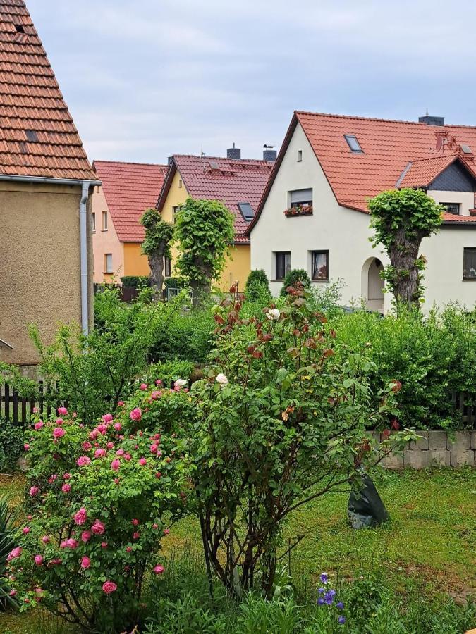 Ferienwohnung Rosengarten Ballenstedt Exterior foto